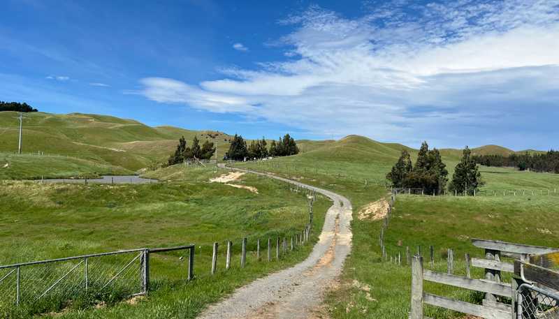 365 Caseys Road, Blenheim Central