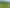 939 Manawaru Road, Te Aroha