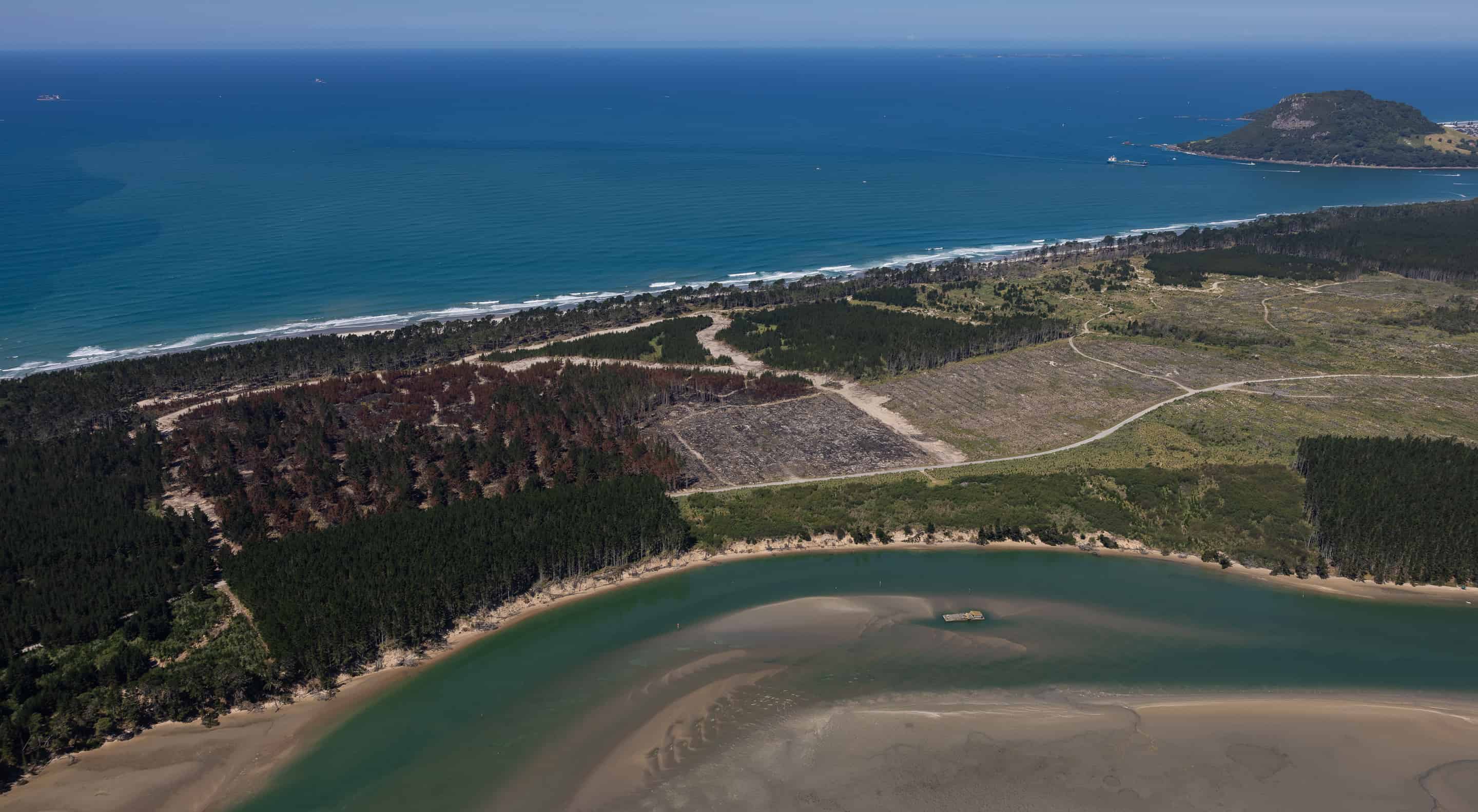 205 Matakana Island, 148 HA, Matakana Island, Western Bay Of Plenty