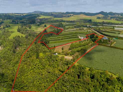 827 No 1 Road, Te Puke