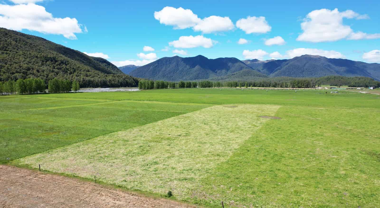 225 State Highway 65, Inangahua, Buller For Sale realestate.co.nz