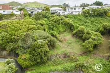 64 Woodland Road, Johnsonville