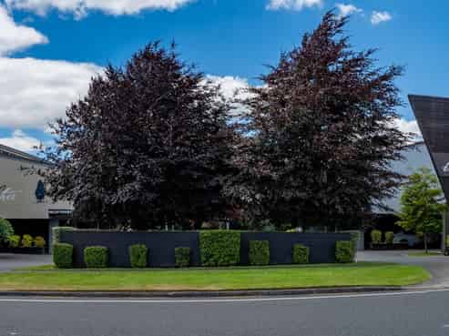 Beechtree motel