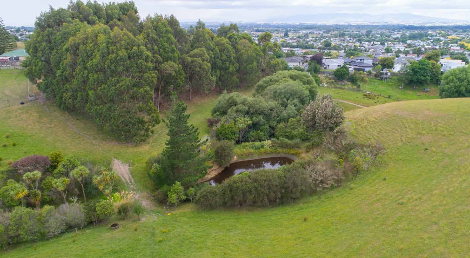 22 Road, Feilding, Manawatu For Sale realestate.co.nz