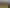 Lot 5 Morepork Way, Te Puke