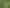 Lot 5 Morepork Way, Te Puke