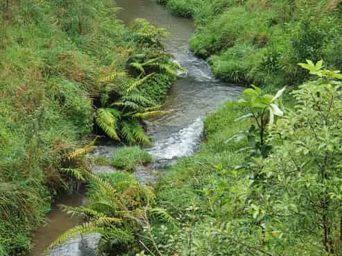 Lot 5 Morepork Way, Te Puke