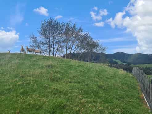 1412 State Highway 10, Taupo Bay/Totara North