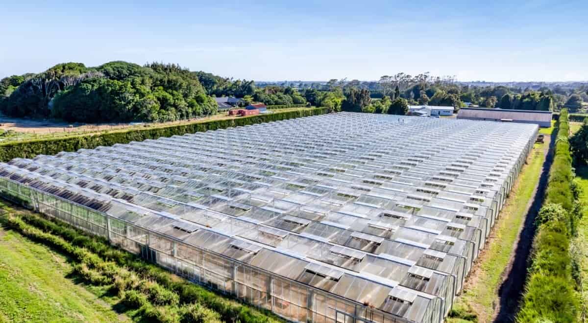 For sale 456 Corbett Road, Lepperton realestate.co.nz