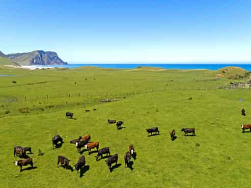  Waihau Station - 618 Waihau Road, Tolaga Bay