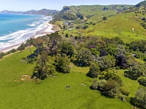  Waihau Station - 618 Waihau Road, Tolaga Bay