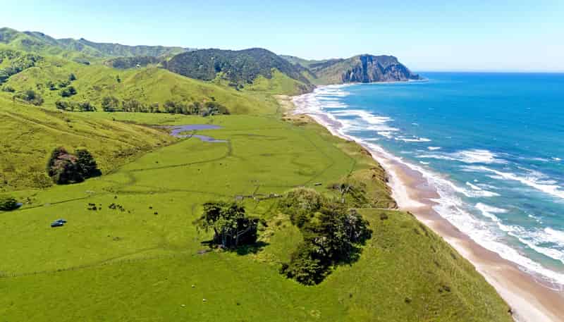  Waihau Station - 618 Waihau Road, Tolaga Bay