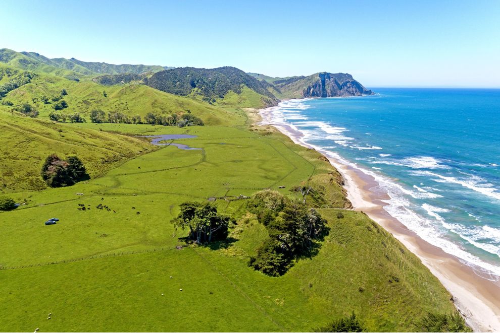 Waihau Station 618 Waihau Road, Tolaga Bay, Gisborne For Sale