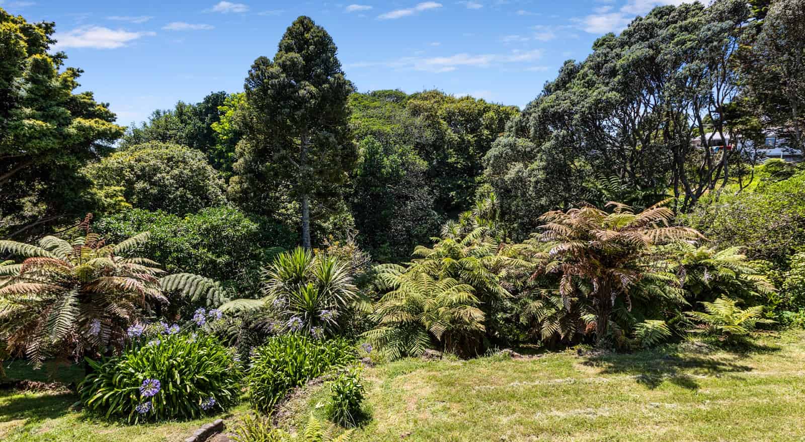 45 McFarlane Street, Oakura, New Plymouth For Sale realestate.co.nz