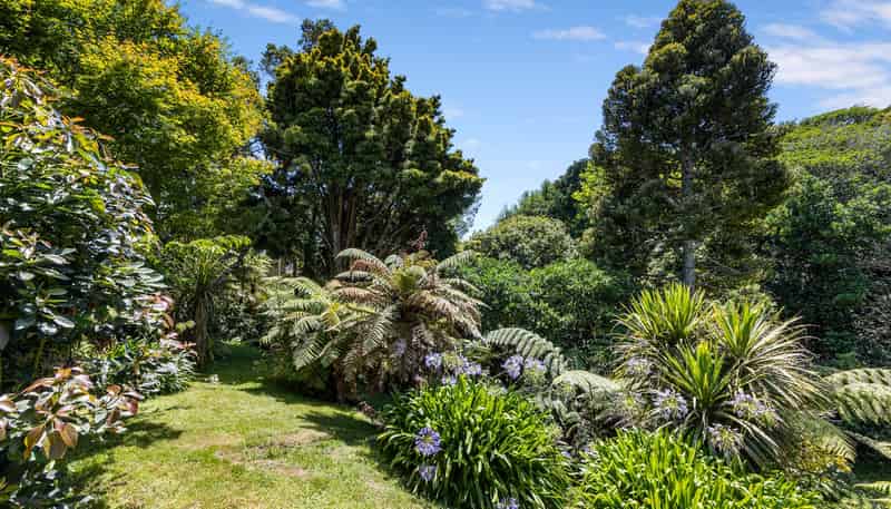 45 McFarlane Street, Oakura