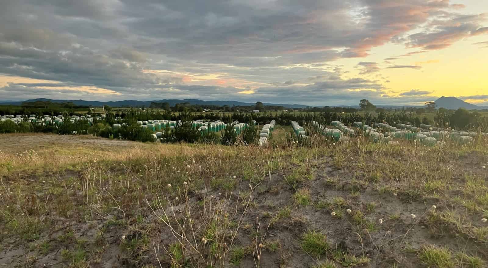 1030a Thornton Road, Whakatane, Whakatane For Sale realestate.co.nz