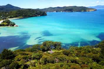 Lot 1 DP 6 Puriri Bay Road, Great Barrier Island