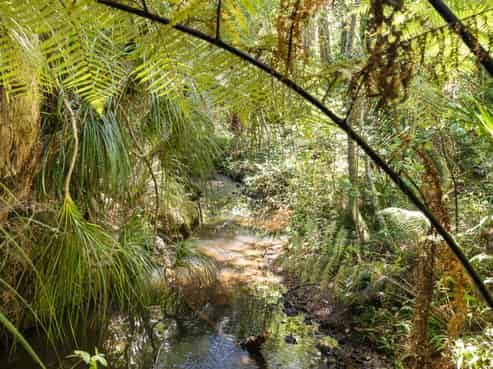 2 Walu Lane, Matapouri