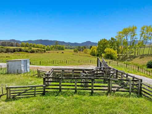 76 Wyllie Road, Warkworth