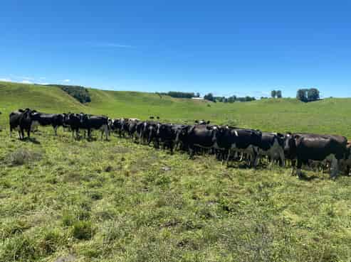 190 Ngatira Road, Lichfield