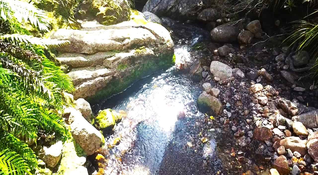 State Highway 67, Waimangaroa, Buller For Sale realestate.co.nz