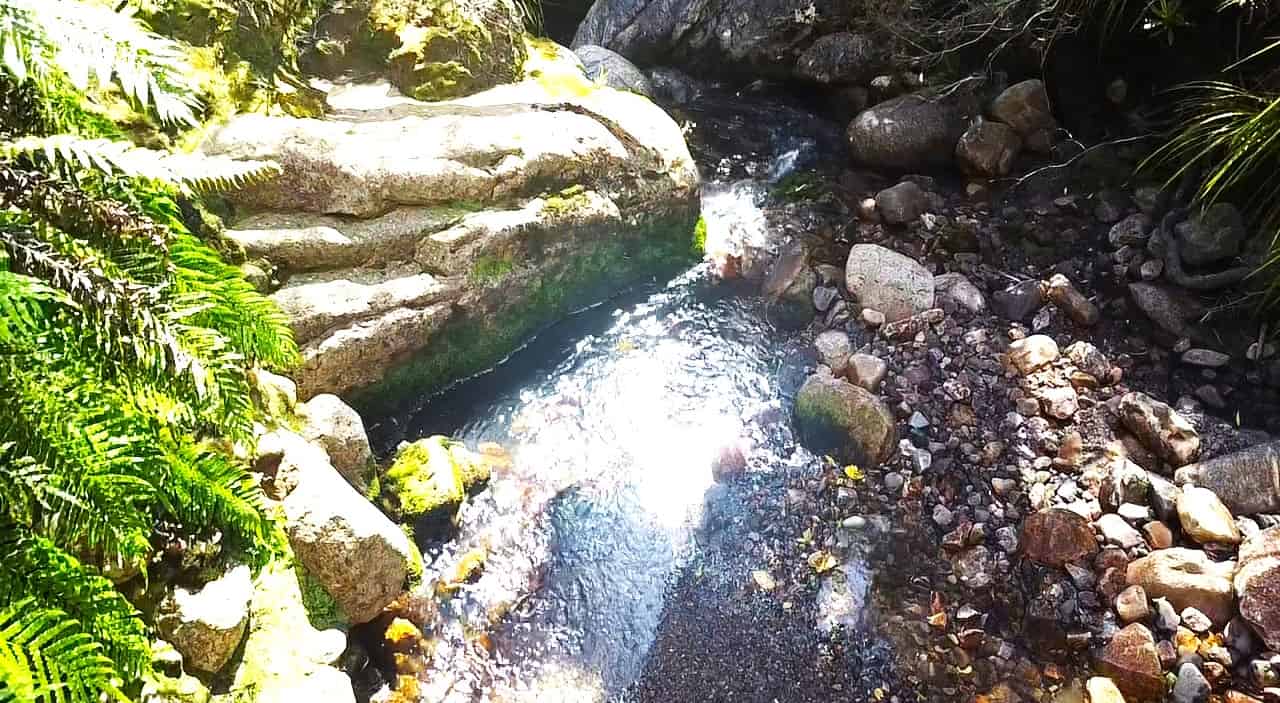 State Highway 67, Waimangaroa, Buller For Sale realestate.co.nz