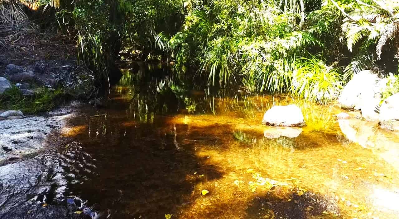 State Highway 67, Waimangaroa, Buller For Sale realestate.co.nz