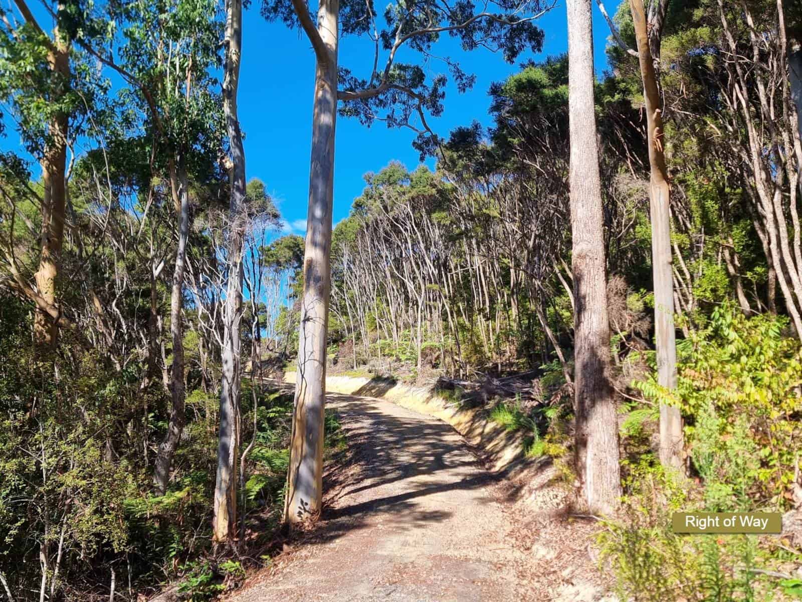 Opua Homes and Real Estate for Sale realestate.co.nz