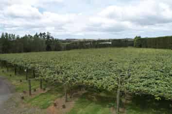 2412c State Highway 10, Kerikeri