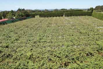 2374 State Highway 10, Kerikeri
