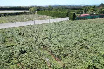 2374 State Highway 10, Kerikeri
