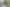 Premium Development Site – Manukau Road