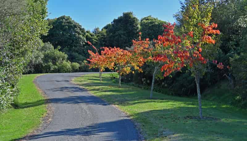 12 Oakdale Drive, Kinloch