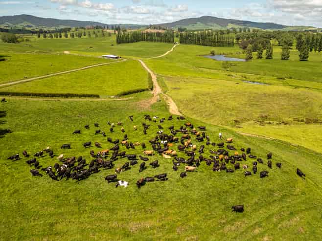 Lot 3-1768 Morrinsville Walton Road, Matamata
