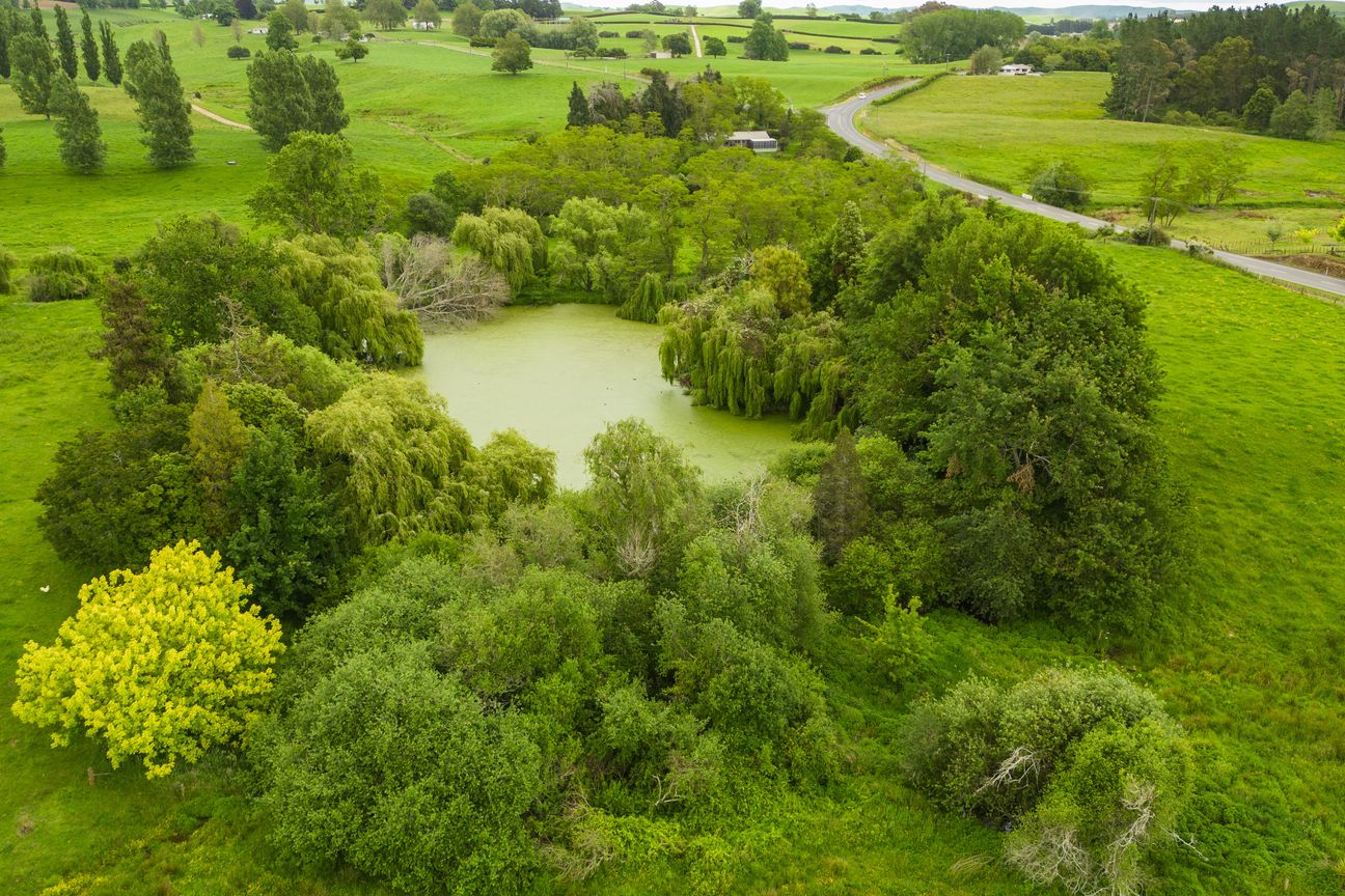 Peaceful setting with duck pond - Veduta 4