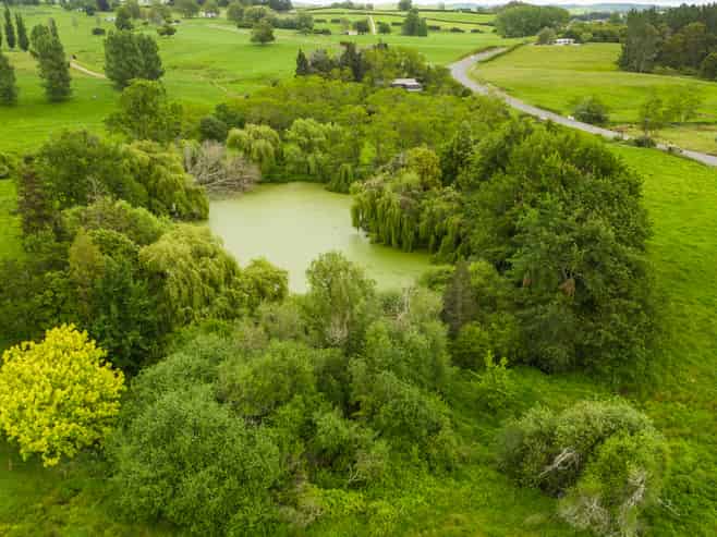 1768 Morrinsville Walton Road, Matamata