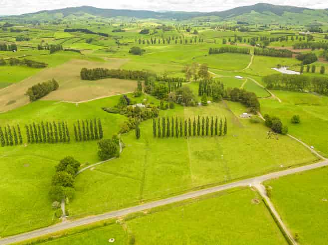 1768 Morrinsville Walton Road, Matamata