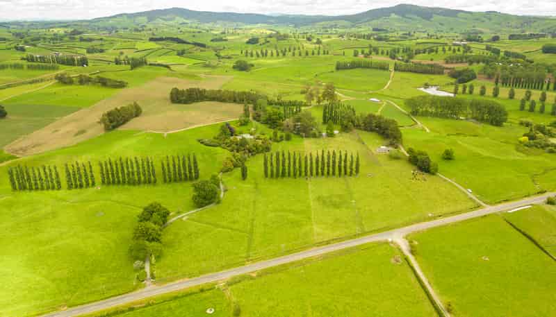 1768 Morrinsville Walton Road, Matamata