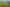 2590 Awhitu Road, Awhitu