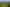 2590 Awhitu Road, Awhitu