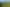 2590 Awhitu Road, Awhitu