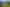 2590 Awhitu Road, Awhitu