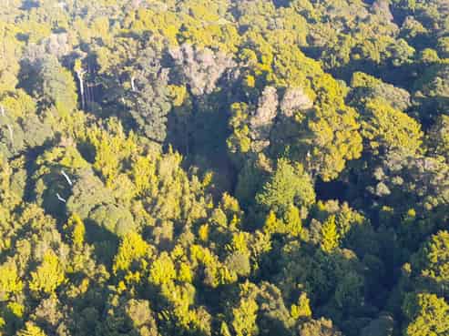 925 Main Coast Road, Tuatapere