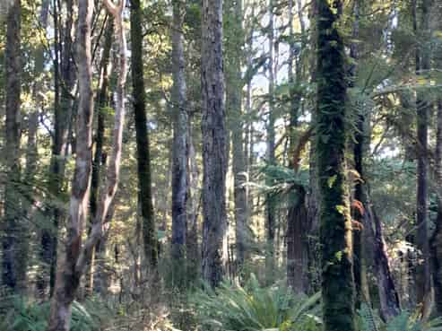 925 Main Coast Road, Tuatapere