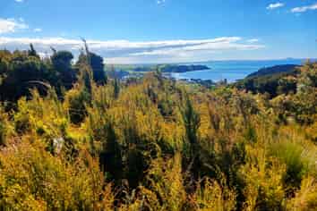 120 Stratford Drive, Cable Bay