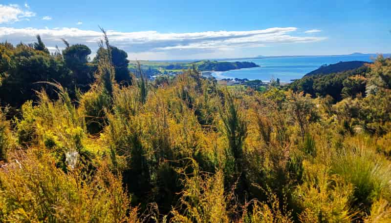 120 Stratford Drive, Cable Bay