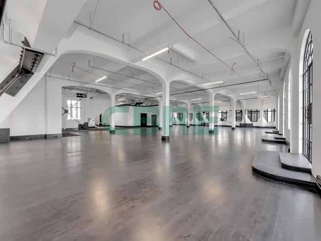 The Best Character Space in Auckland