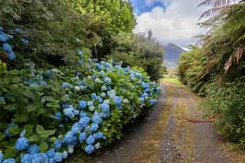 Fox Glacier Homestay B&B with Mt Cook Views