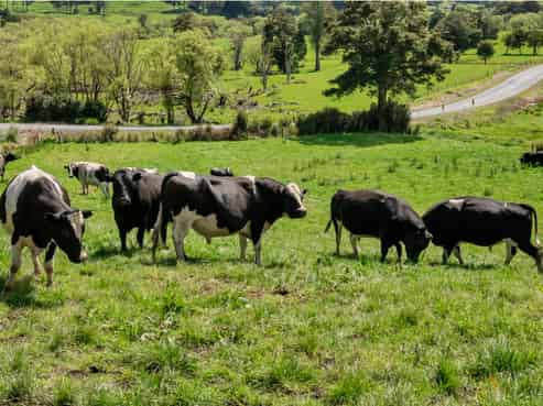 2703 Pipiwai Road, Pipiwai