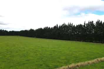 47 Gundries Road, Dannevirke